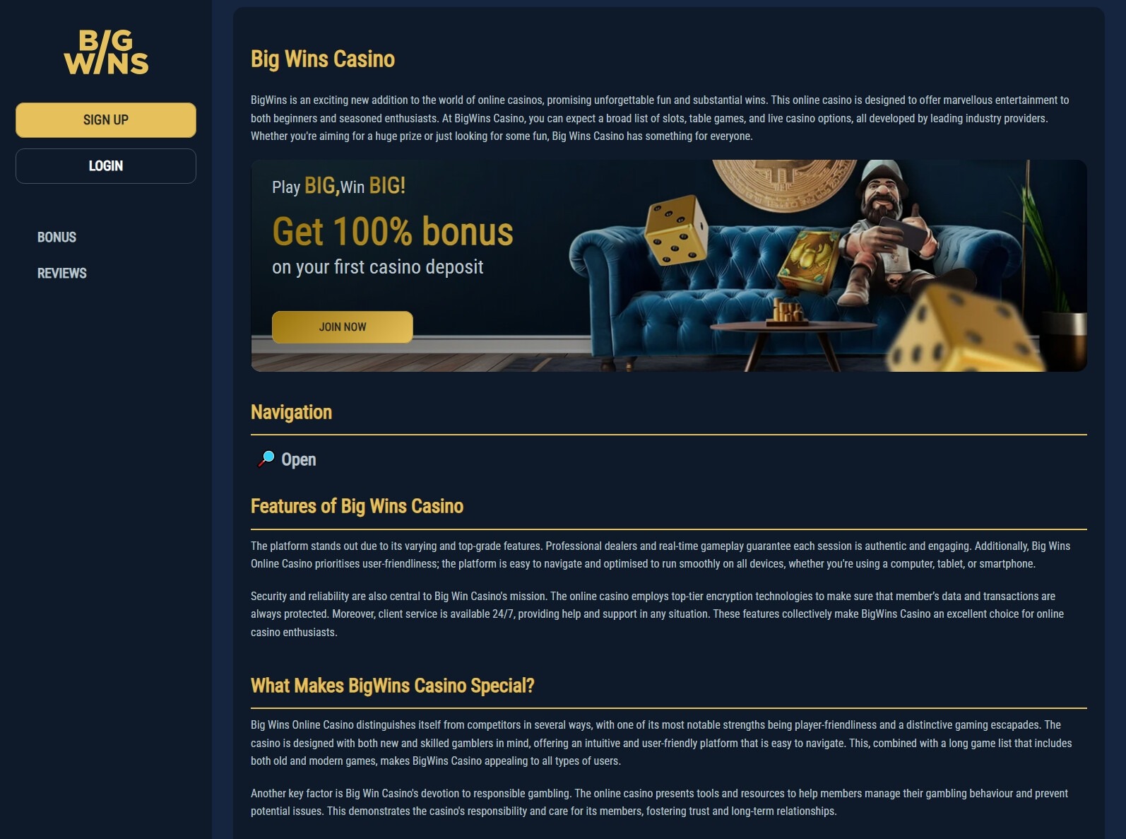 BigWin Online Casino Site Evaluation
